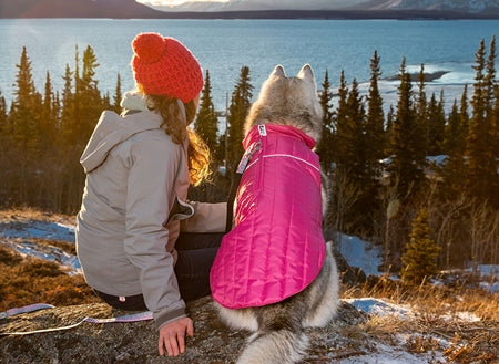 RC Pet Stratus Puffer Coat Black