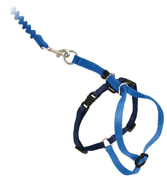 PetSafe Come with Me Kitty Blue Harness and Bungee Leash for Cats