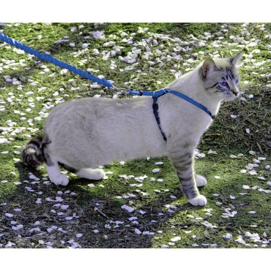 PetSafe Come with Me Kitty Blue Harness and Bungee Leash for Cats