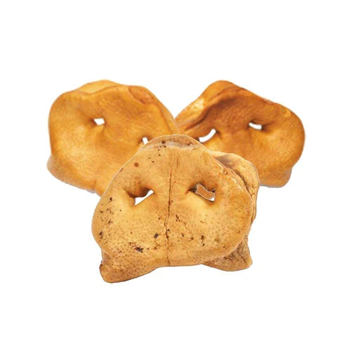 RedBarn Pig Snout Treat for Dogs