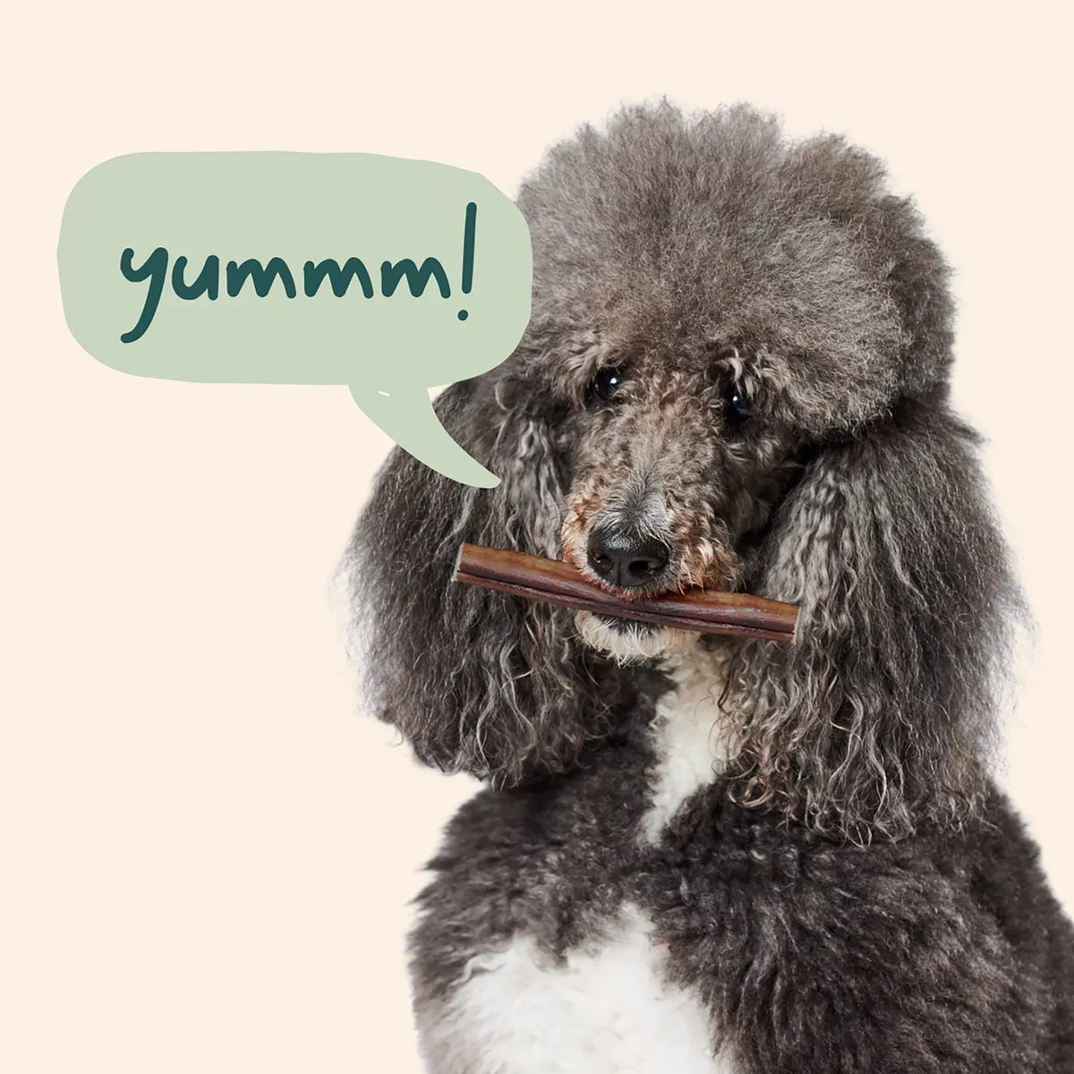 Woof BullySafe Refill Collagen Chew Bully Sticks 6" Dog Treat