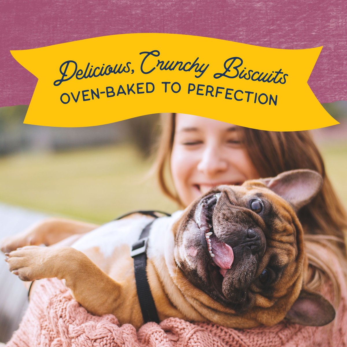 Natural Balance Rewards Bite-Size Crunchy Biscuits Small Breed With Real Venison Dog Treat