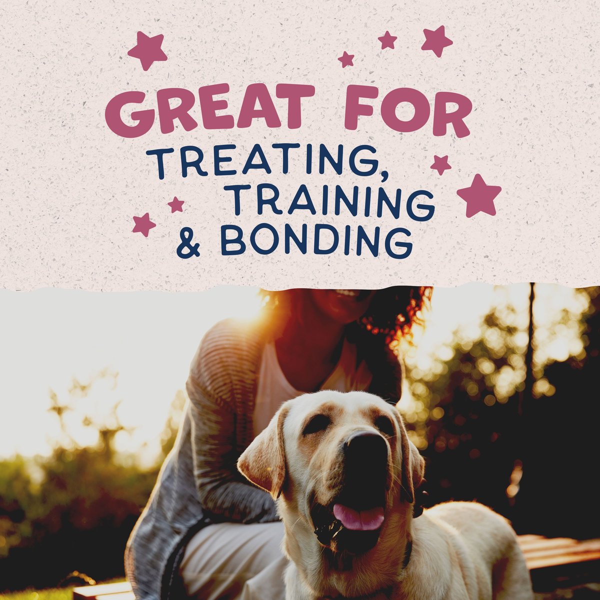 Natural Balance Rewards Bite-Size Crunchy Biscuits Small Breed With Real Venison Dog Treat