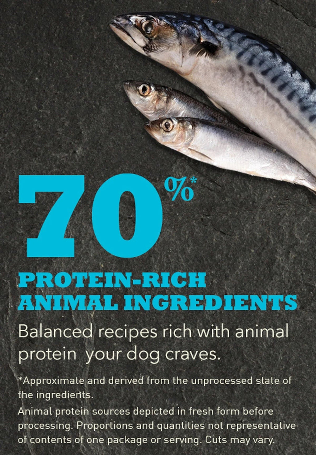ACANA Regionals Wild Atlantic Formula Grain Free Dry Dog Food