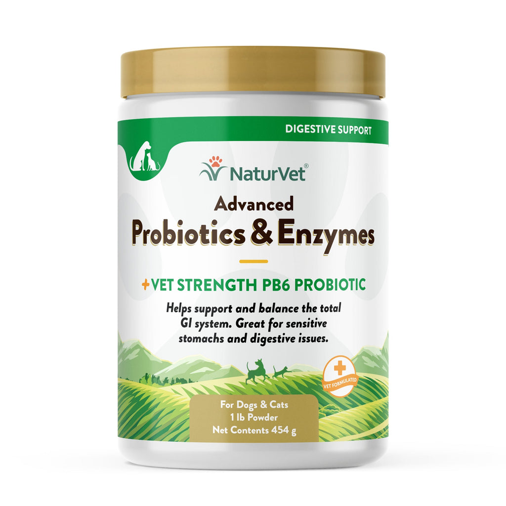 NaturVet Advanced Probiotic & Enzymes Powder for Dogs and Cats