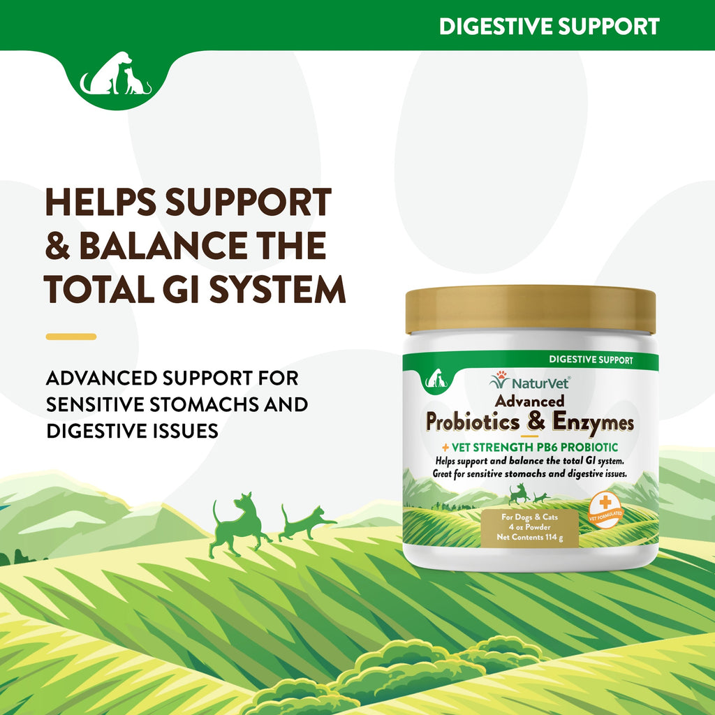NaturVet Advanced Probiotic & Enzymes Powder for Dogs and Cats