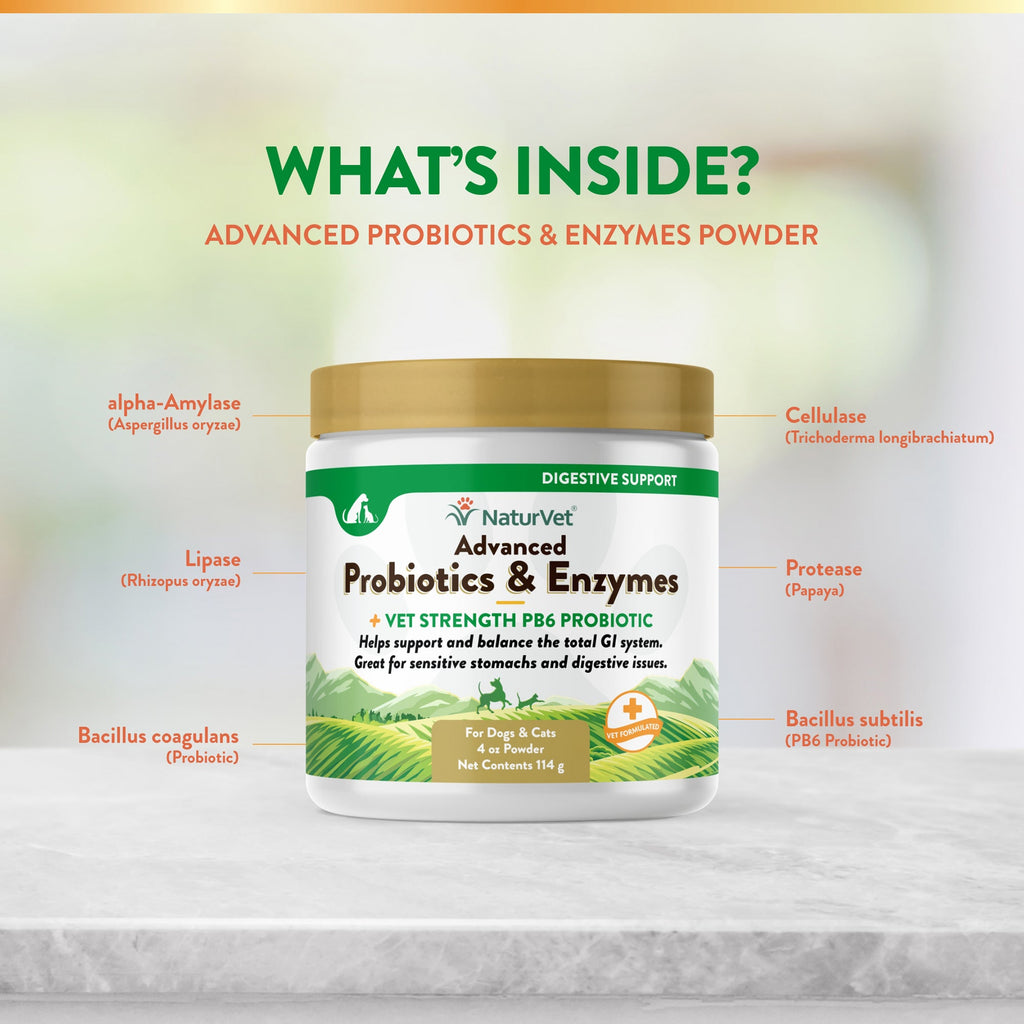 NaturVet Advanced Probiotic & Enzymes Powder for Dogs and Cats
