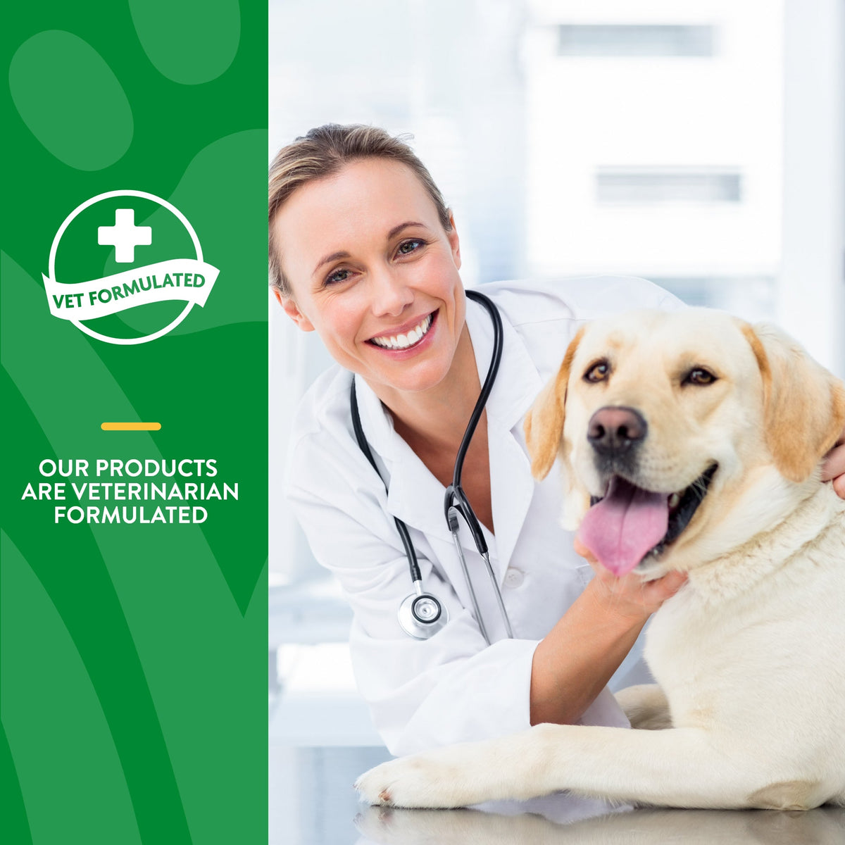 NaturVet Advanced Probiotic & Enzymes Powder for Dogs and Cats