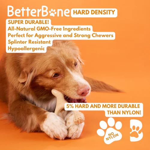 Betterbone Hard Hardness Natural Hypoallergenic Classic Flavor Dog Chew