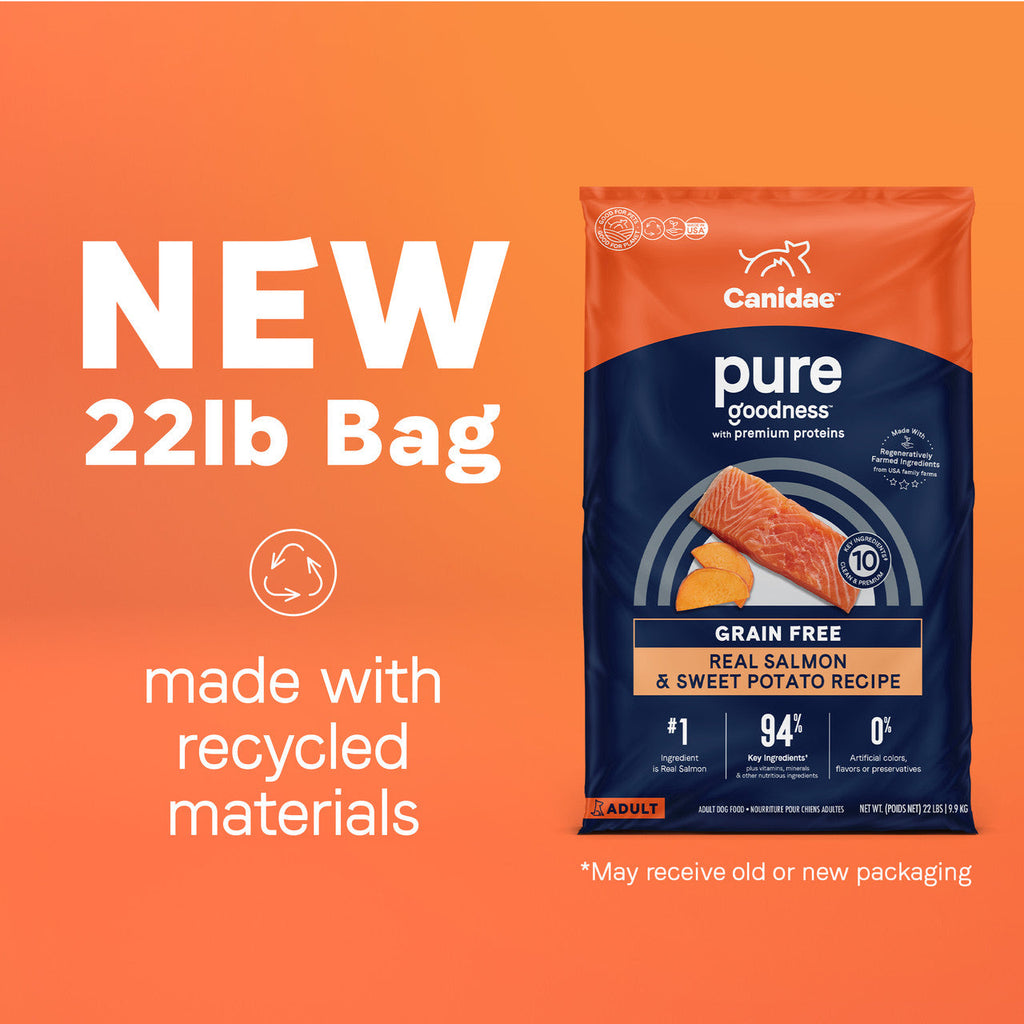 Canidae PURE Grain Free Salmon & Sweet Potato Recipe Dry Dog Food