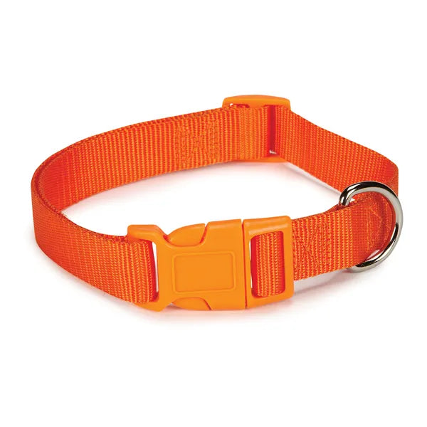 Casual Canine Classic Nylon Dog Collars, Orange