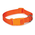 Casual Canine Classic Nylon Dog Collars, Orange