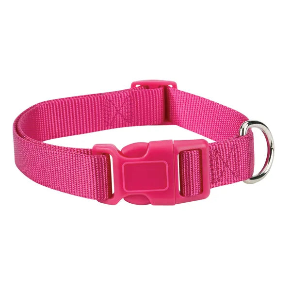 Casual Canine Classic Nylon Dog Collars, Raspberry