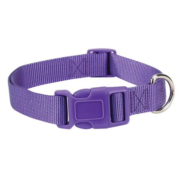 Casual Canine Classic Nylon Dog Collars, Violet