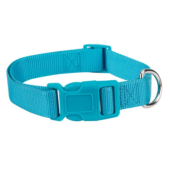 Casual Canine Classic Nylon Dog Collars, Blue Teal