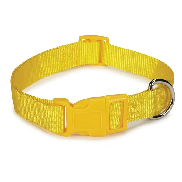 Casual Canine Classic Nylon Dog Collars, Yellow