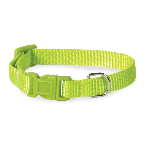 Bradshaw Animal Shelter Nylon Dog Collars