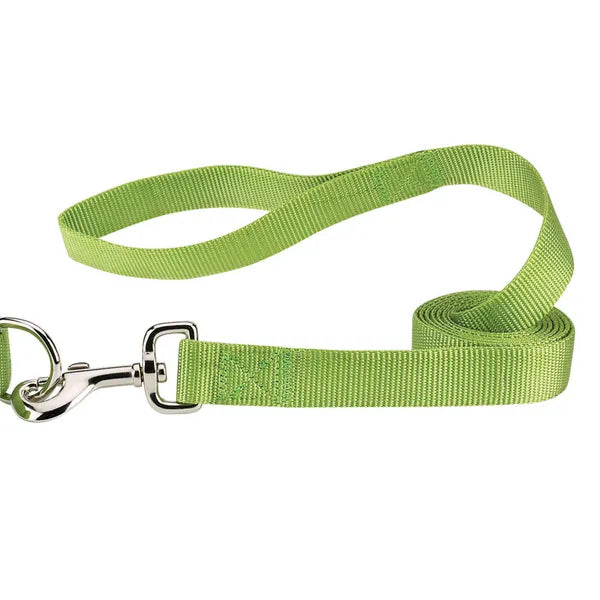 Casual Canine Classic Nylon Dog Leash, Green