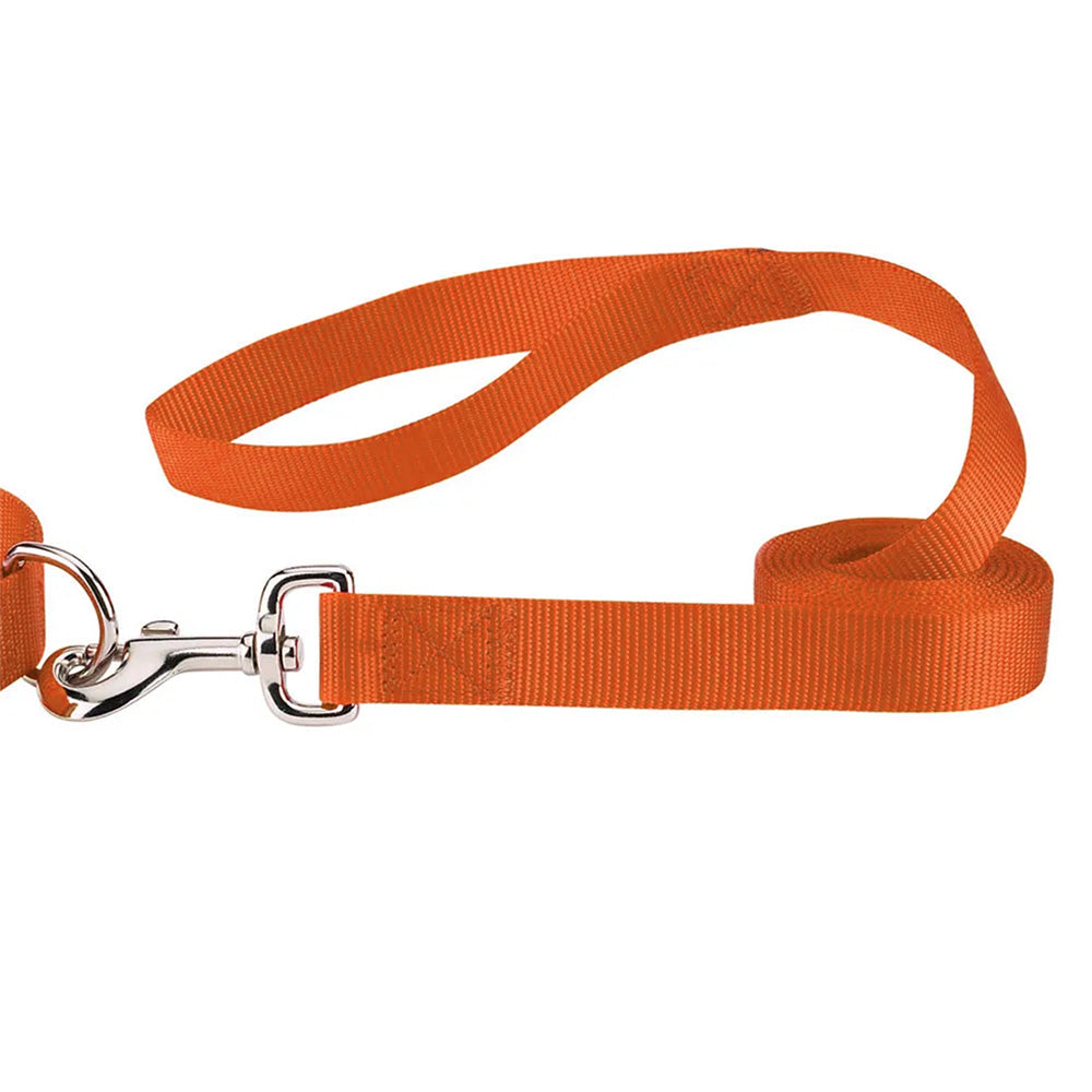 Casual Canine Classic Nylon Dog Leash, Orange