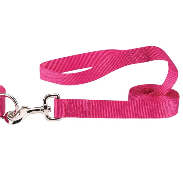 Casual Canine Classic Nylon Dog Leash, Raspberry
