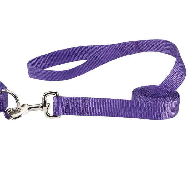 Casual Canine Classic Nylon Dog Leash, Violet