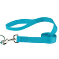 Casual Canine Classic Nylon Dog Leash, Blue Teal
