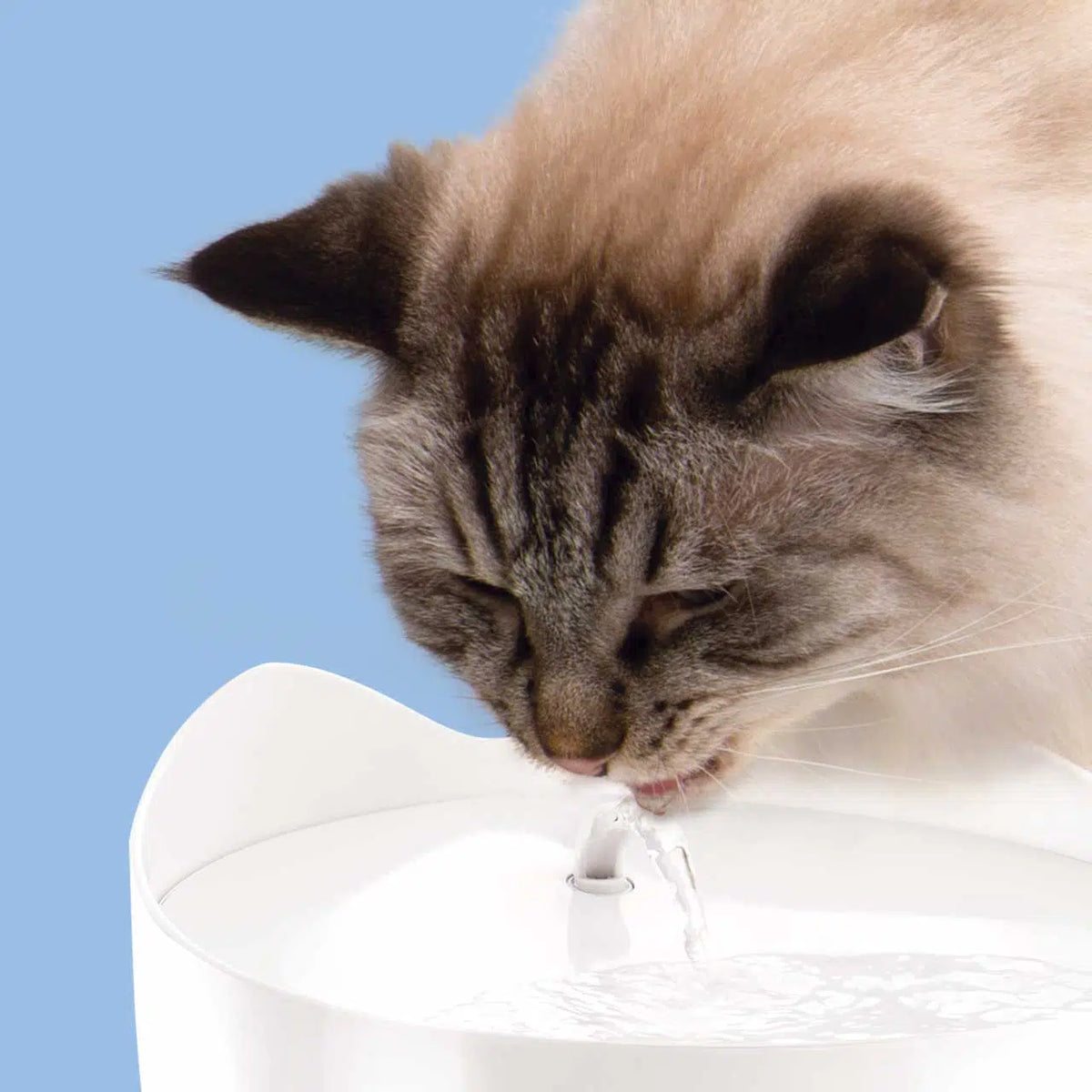 Catit Pixi Drinking Fountain