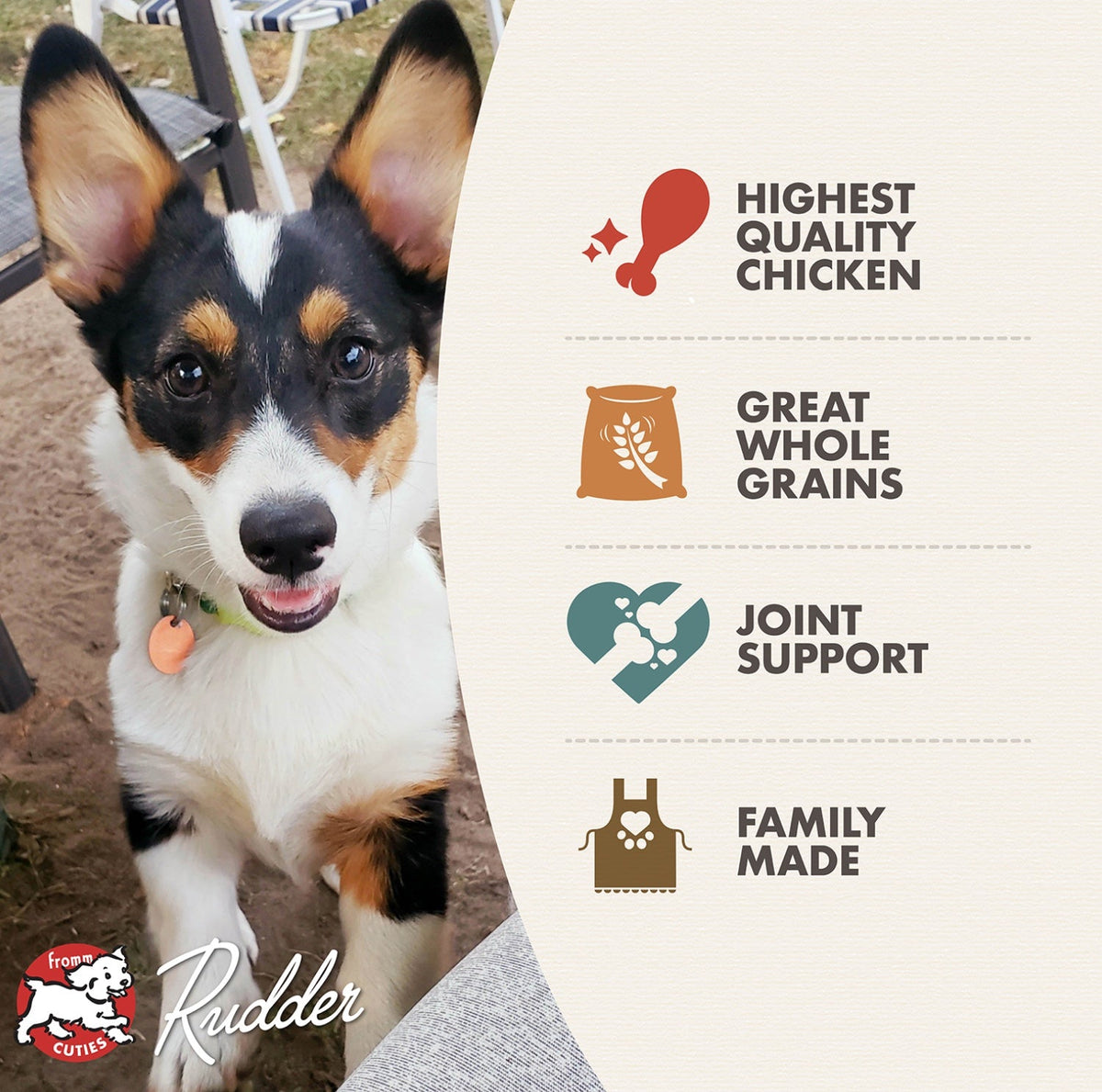 Fromm Classics Puppy Dry Dog Food