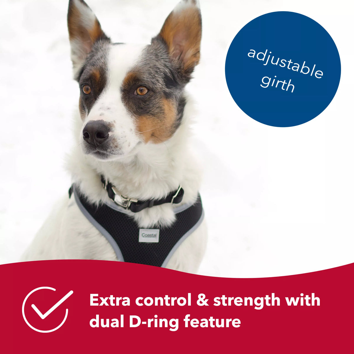 Comfort Soft Reflective Wrap Adjustable Dog Harness, Blue