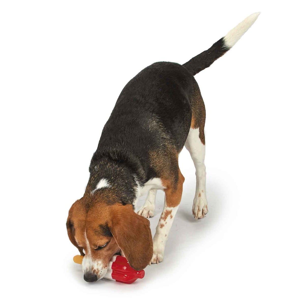 Cool Pup Rocket Pop Freezable Dog Toy