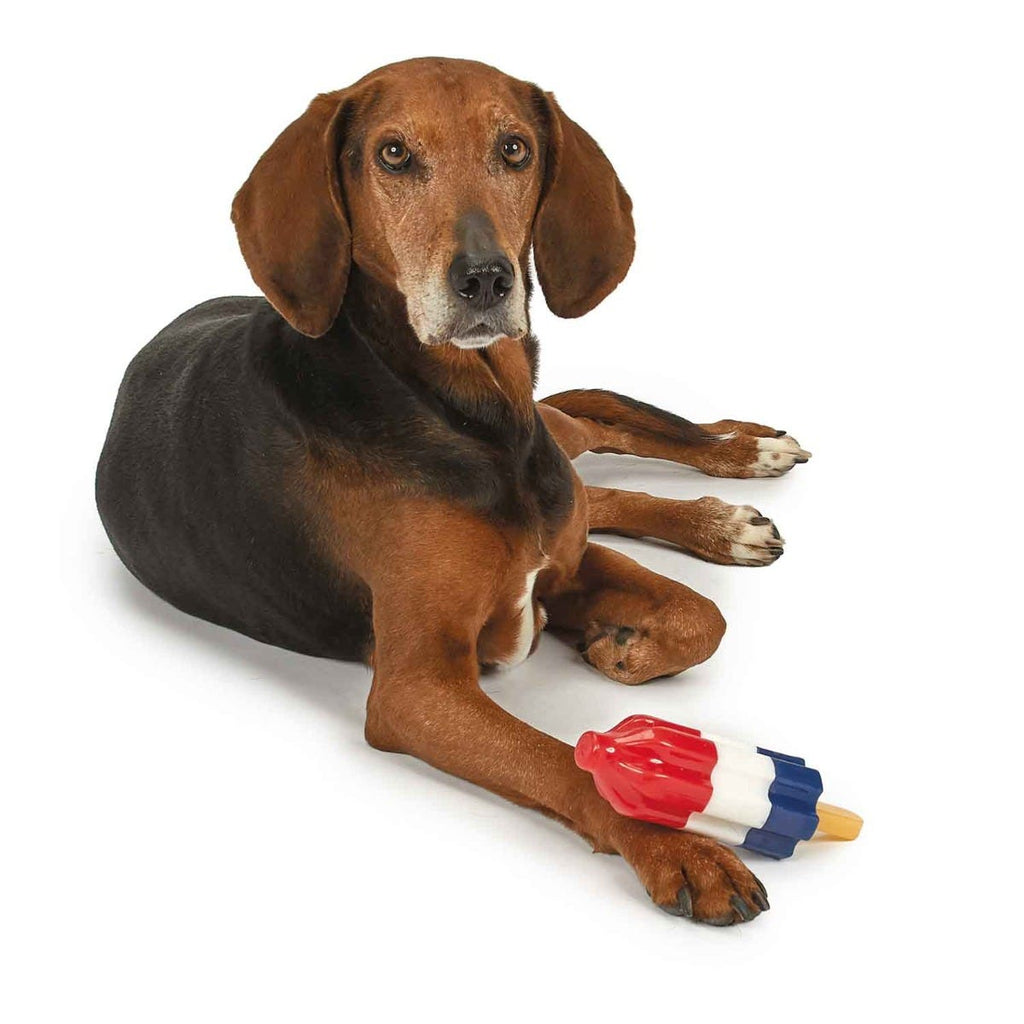 Cool Pup Rocket Pop Freezable Dog Toy