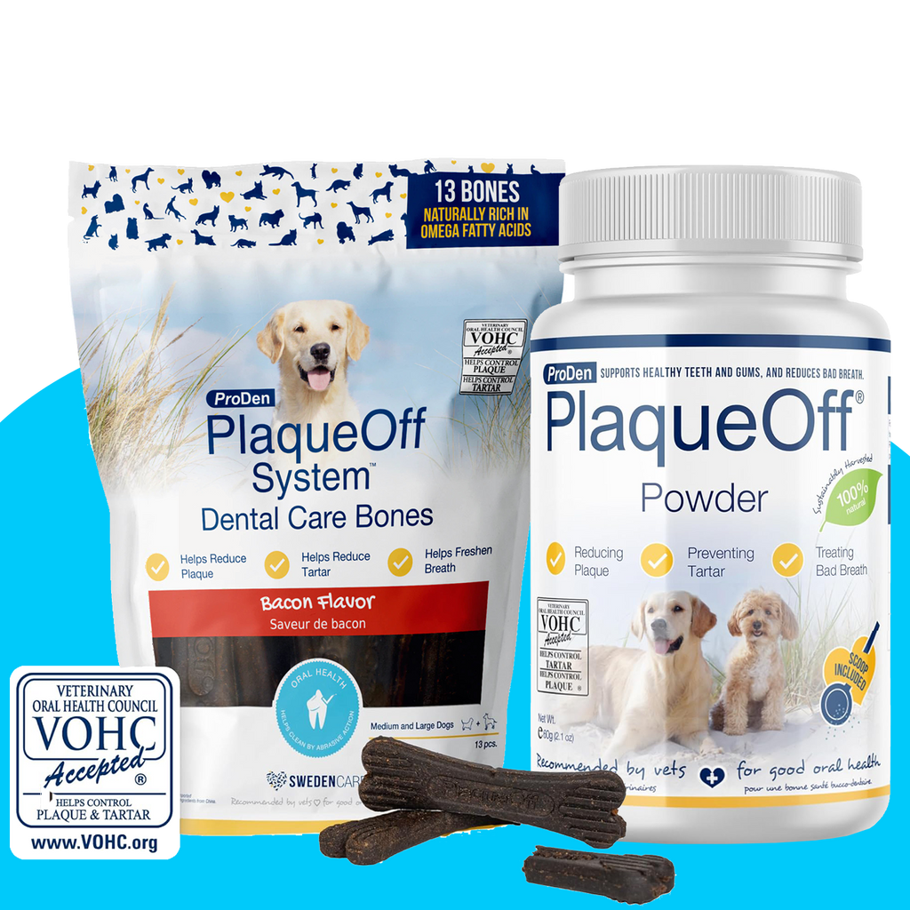 PlaqueOff Dental Duo for Dogs With Bacon Bones