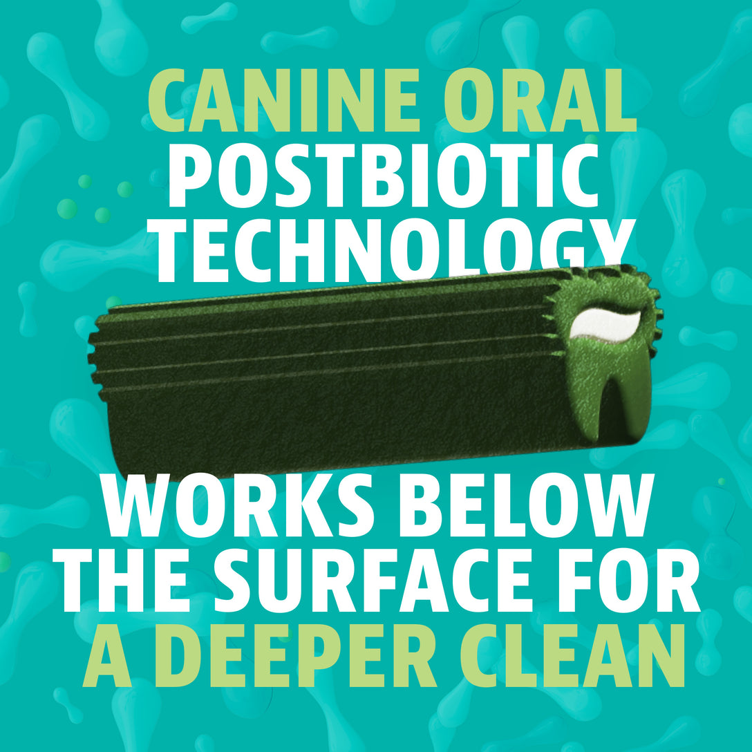 Dinovite Triple Action Targeted Oral Care Dental Chews for Dogs