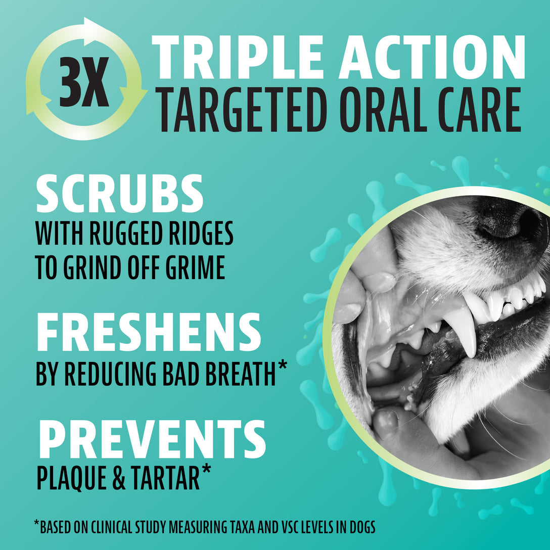 Dinovite Triple Action Targeted Oral Care Dental Chews for Dogs