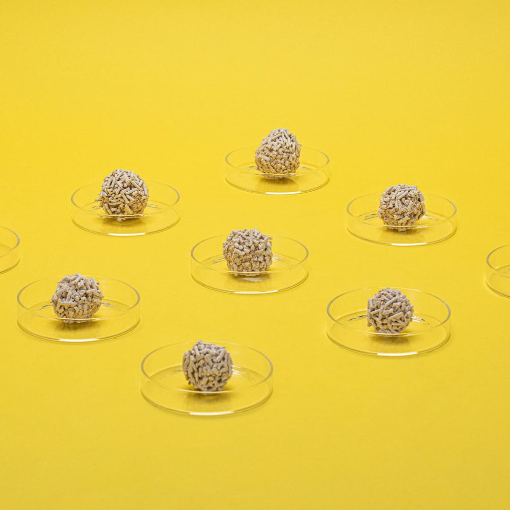 Dofu Cat Tofu Cat Litter
