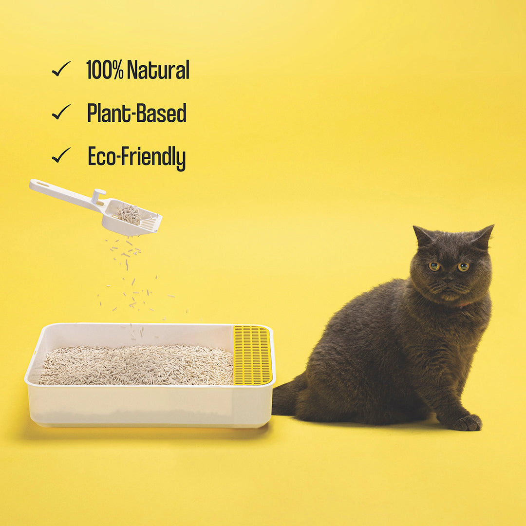 Dofu Cat Tofu Cat Litter