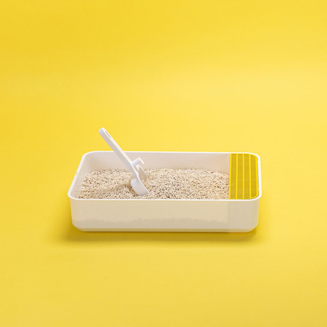 Dofu Cat Tofu Cat Litter