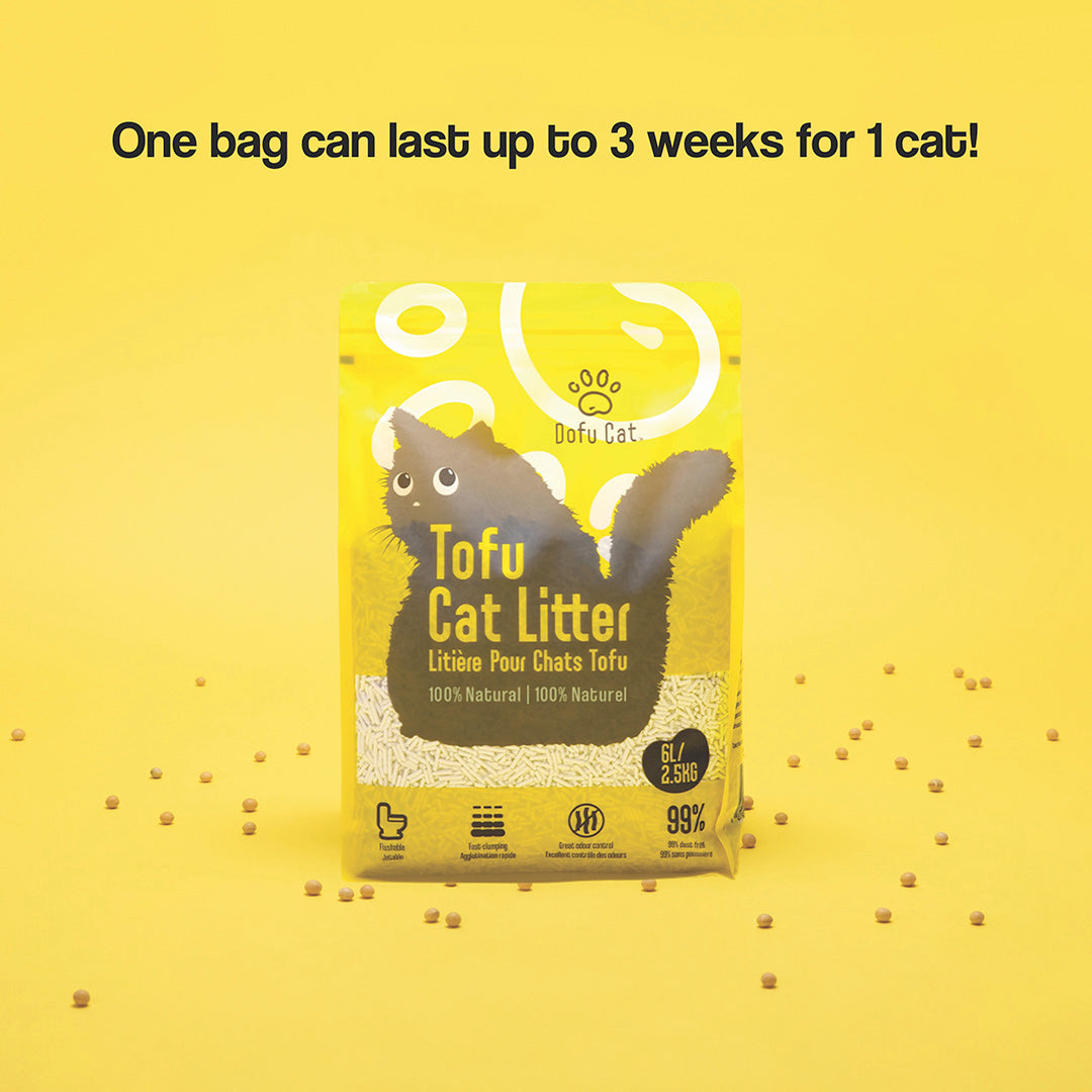 Dofu Cat Tofu Cat Litter