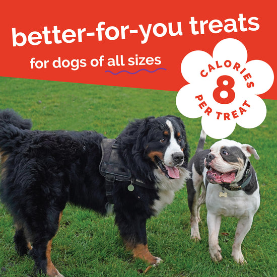 Fruitables Crunchy Crispy Bacon & Apple Dog Treats