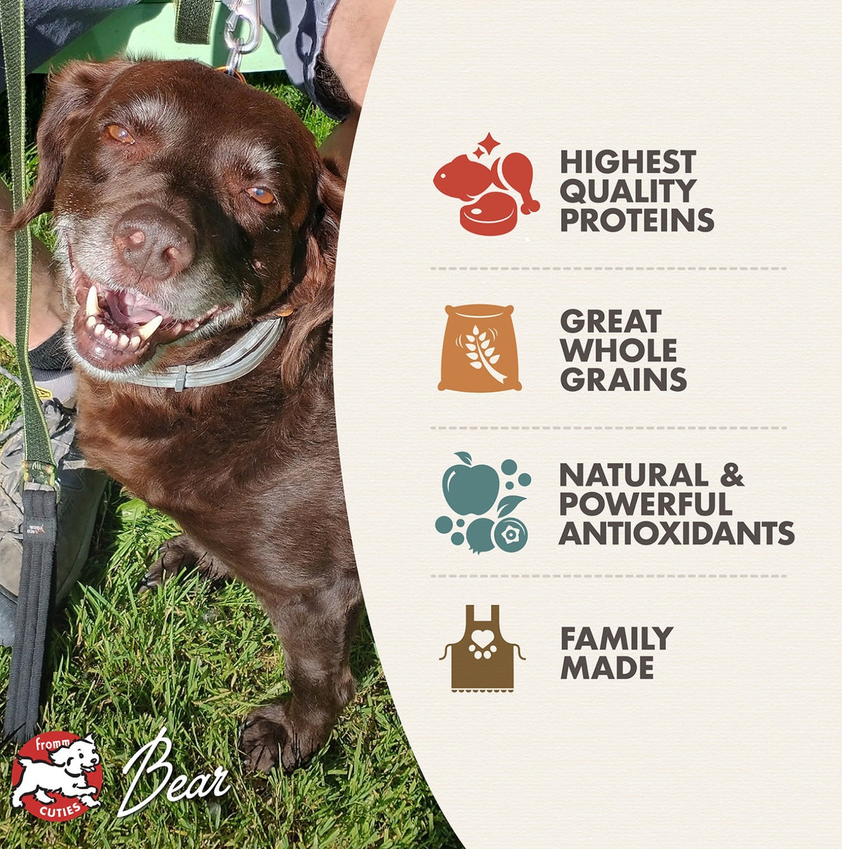 Fromm Family Classic Adult Dog Food