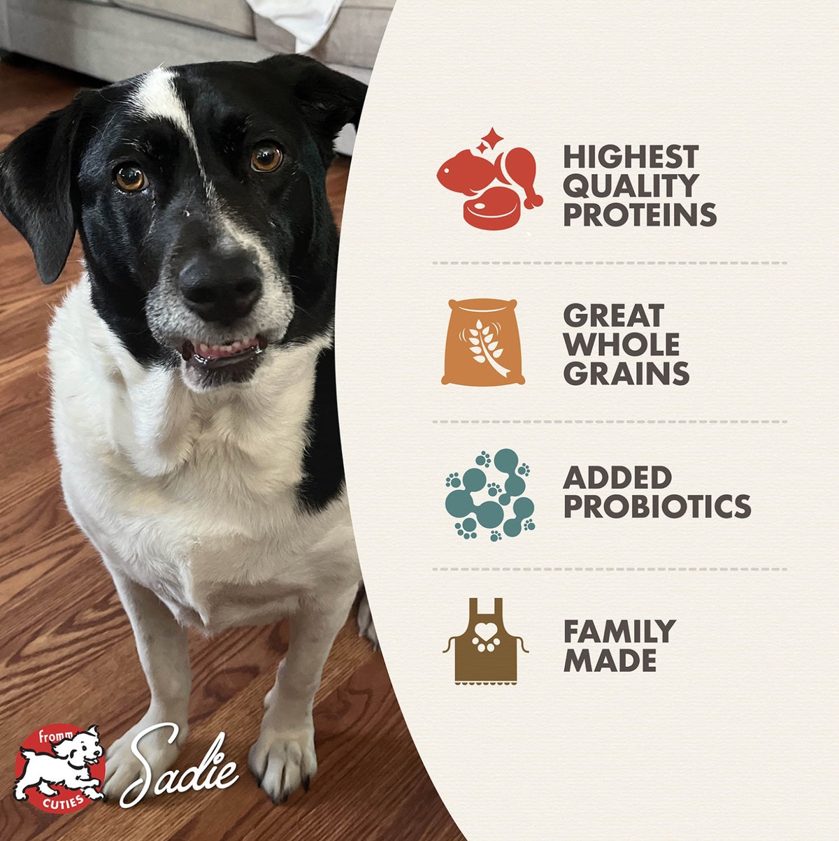 Fromm Family Classic Mature Adult Dog Food