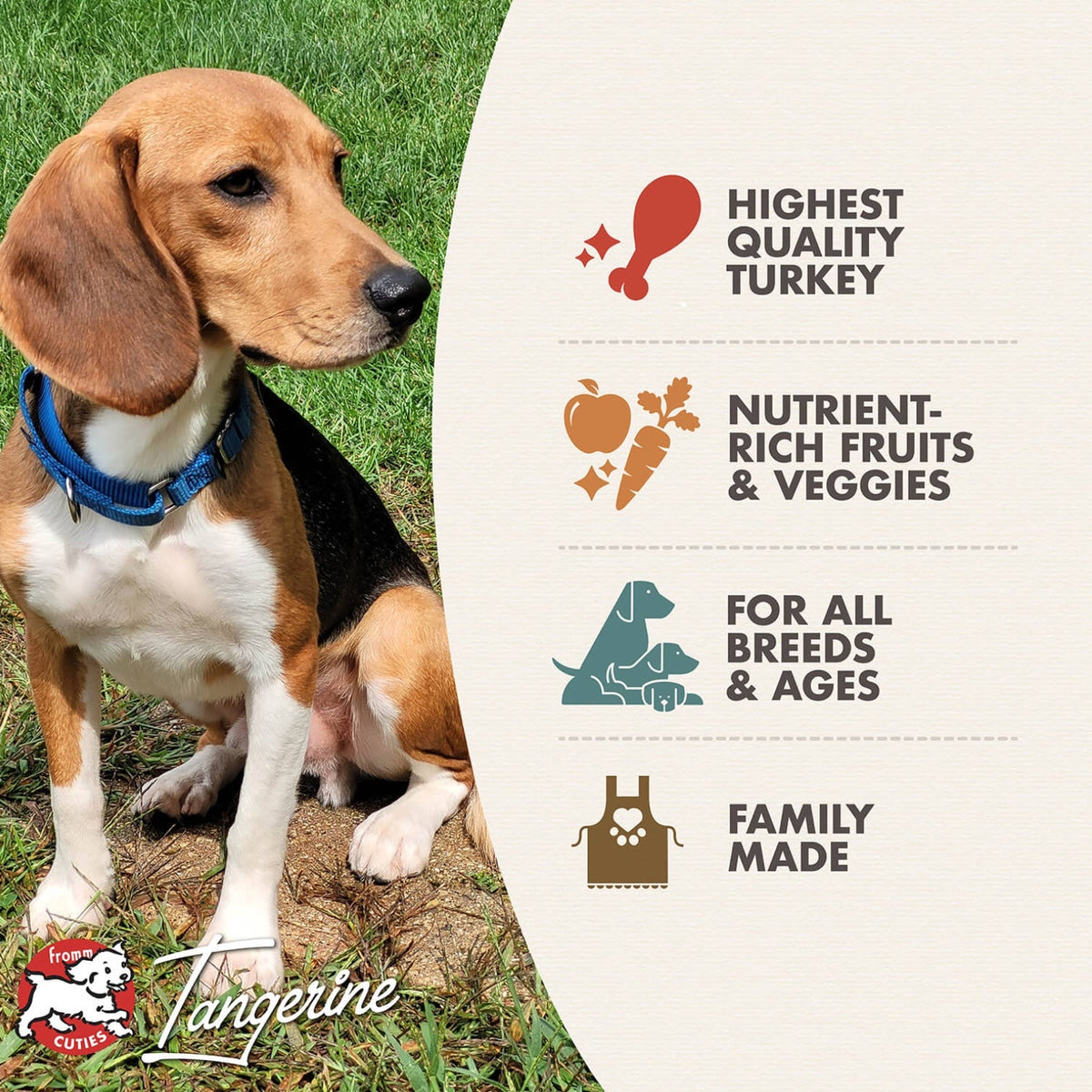 Fromm Four-Star Nutritionals Game Bird Recipe Dog Food