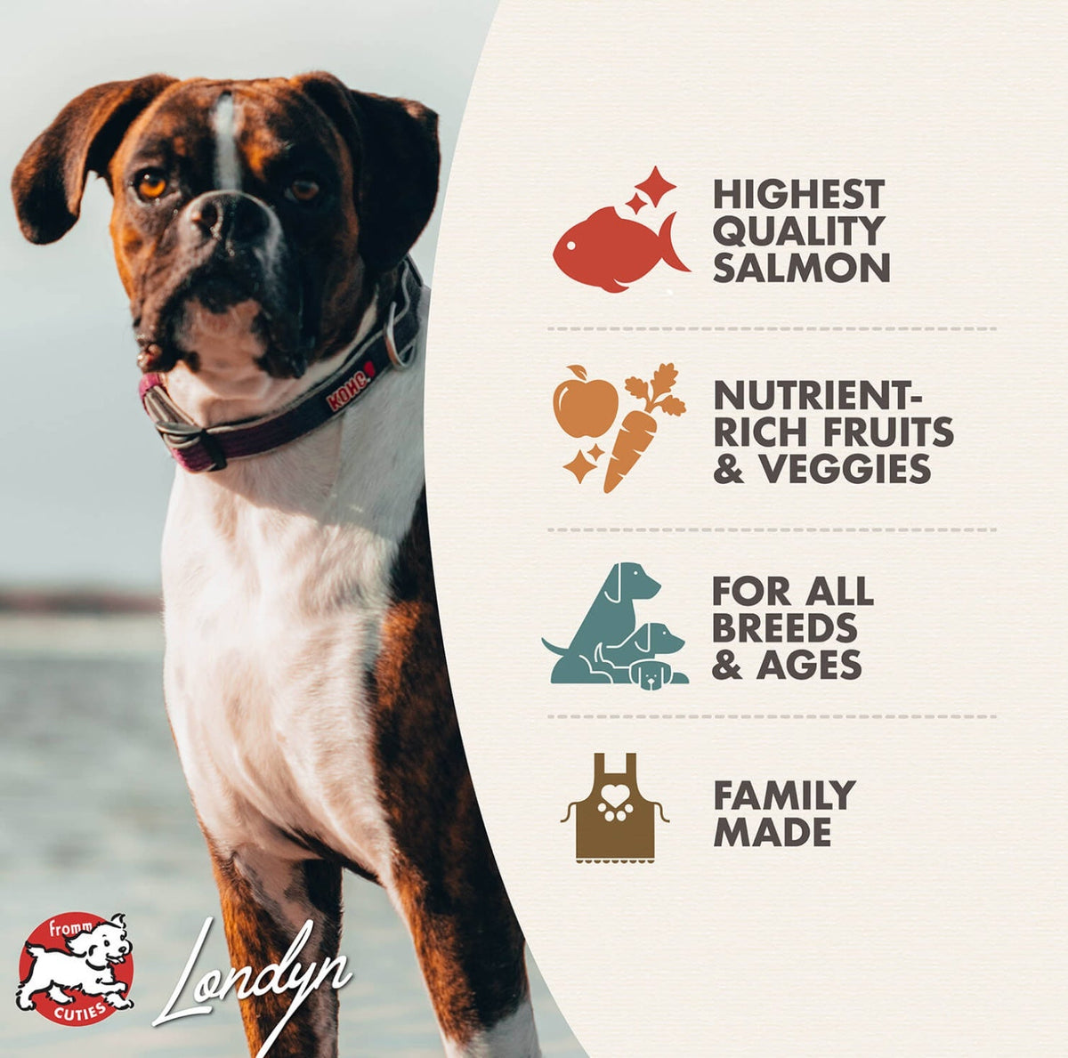 Fromm Four-Star Nutritionals Salmon Ã La Veg Food for Dogs