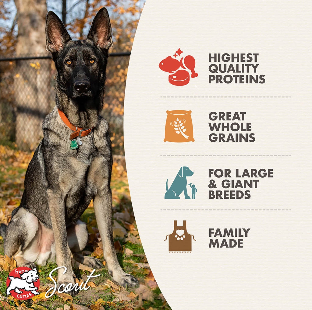 Fromm Large Breed Adult Gold Food for Dogs