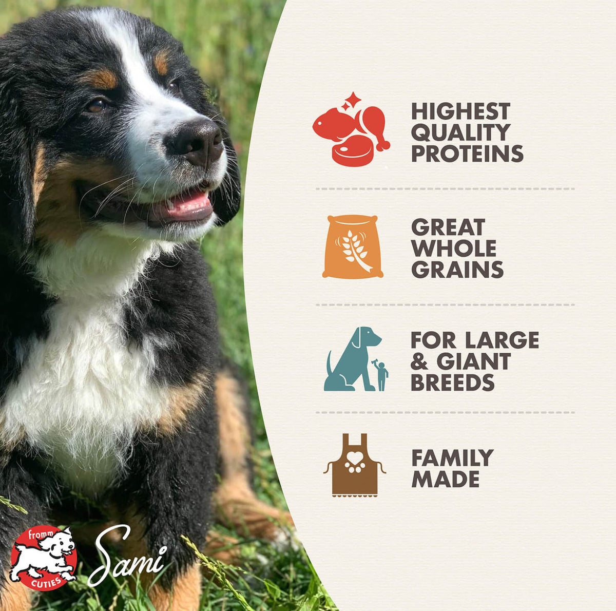 Fromm Large Breed Puppy Gold Food for Dogs