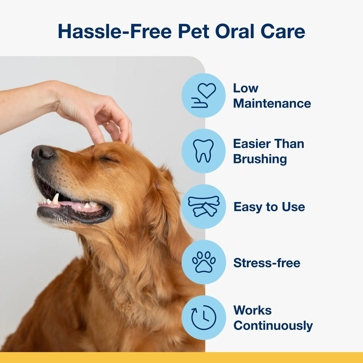 ProDen PlaqueOff Dental Care Bones Vegetable Fusion Flavored for Dogs