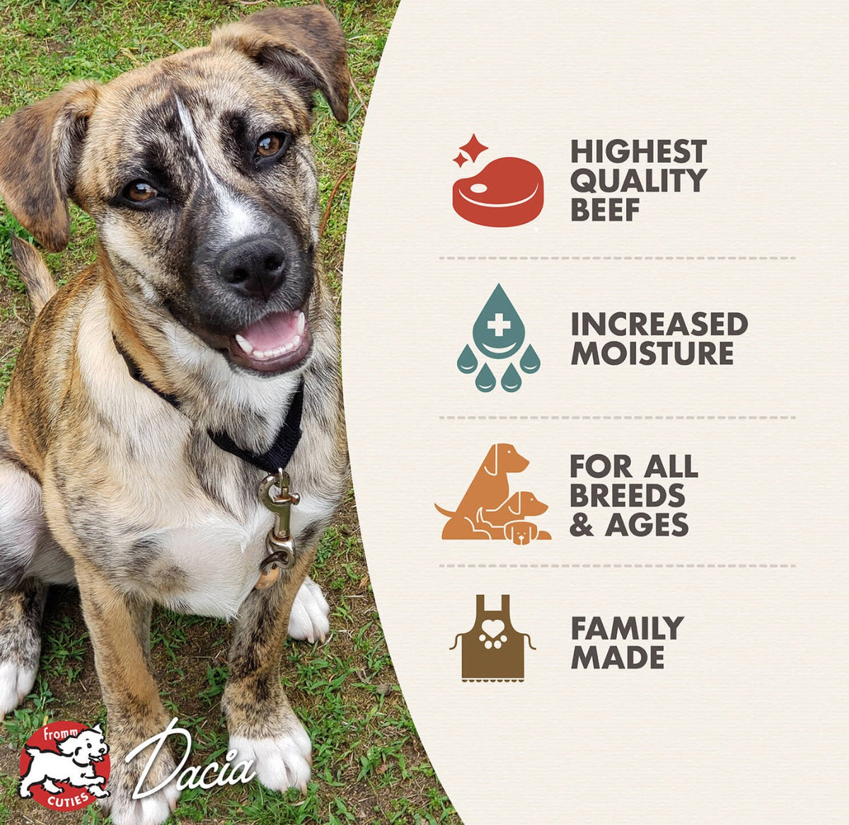Fromm Pate Beef & Sweet Potato Pate Food for Dogs