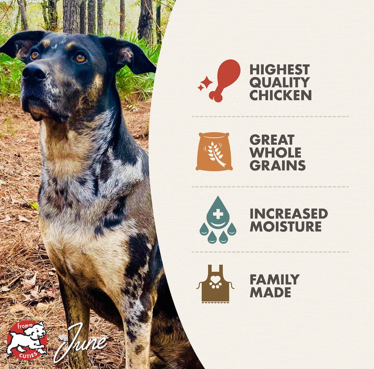 Fromm Chicken & Rice Pâté Canned Food for Dogs