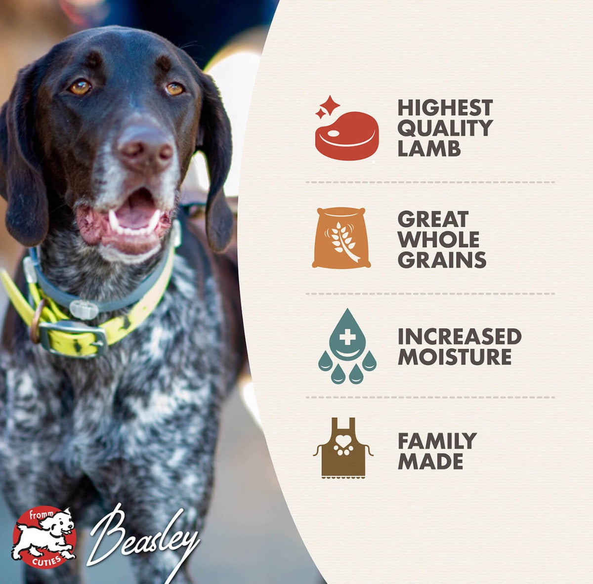 Fromm Lamb Pâté Canned Food for Dogs