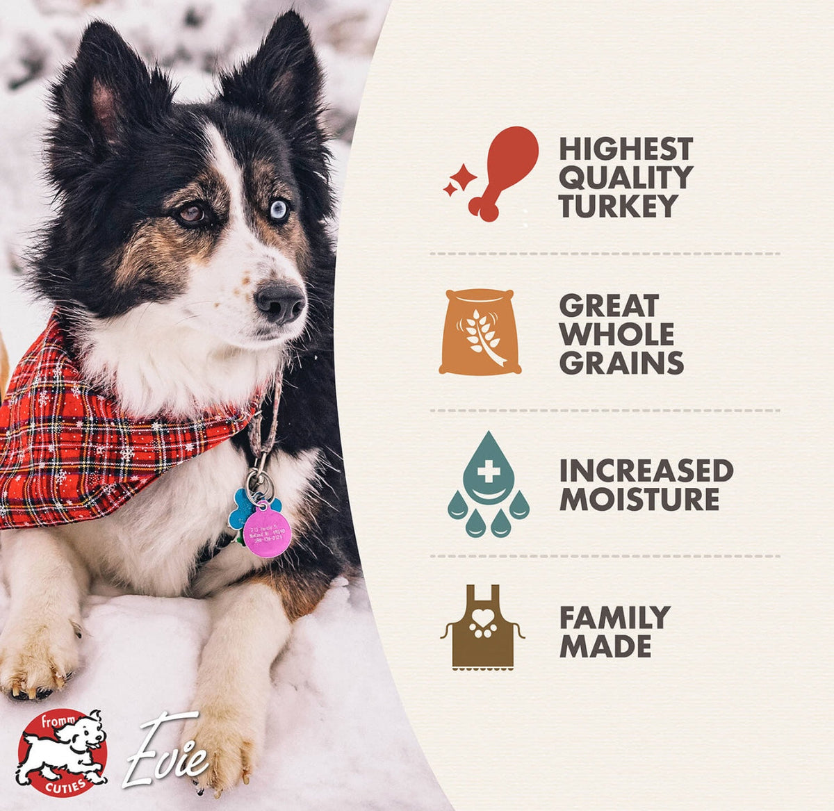 Fromm Turkey Pâté Canned Food for Dogs